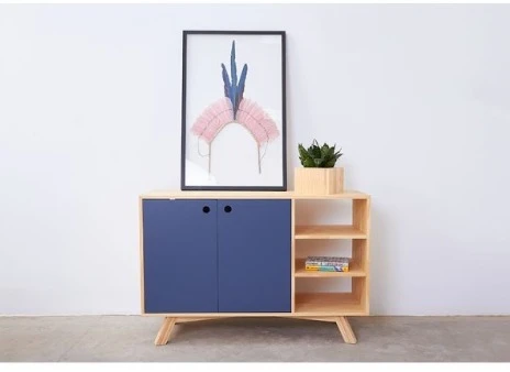 Drawer unit